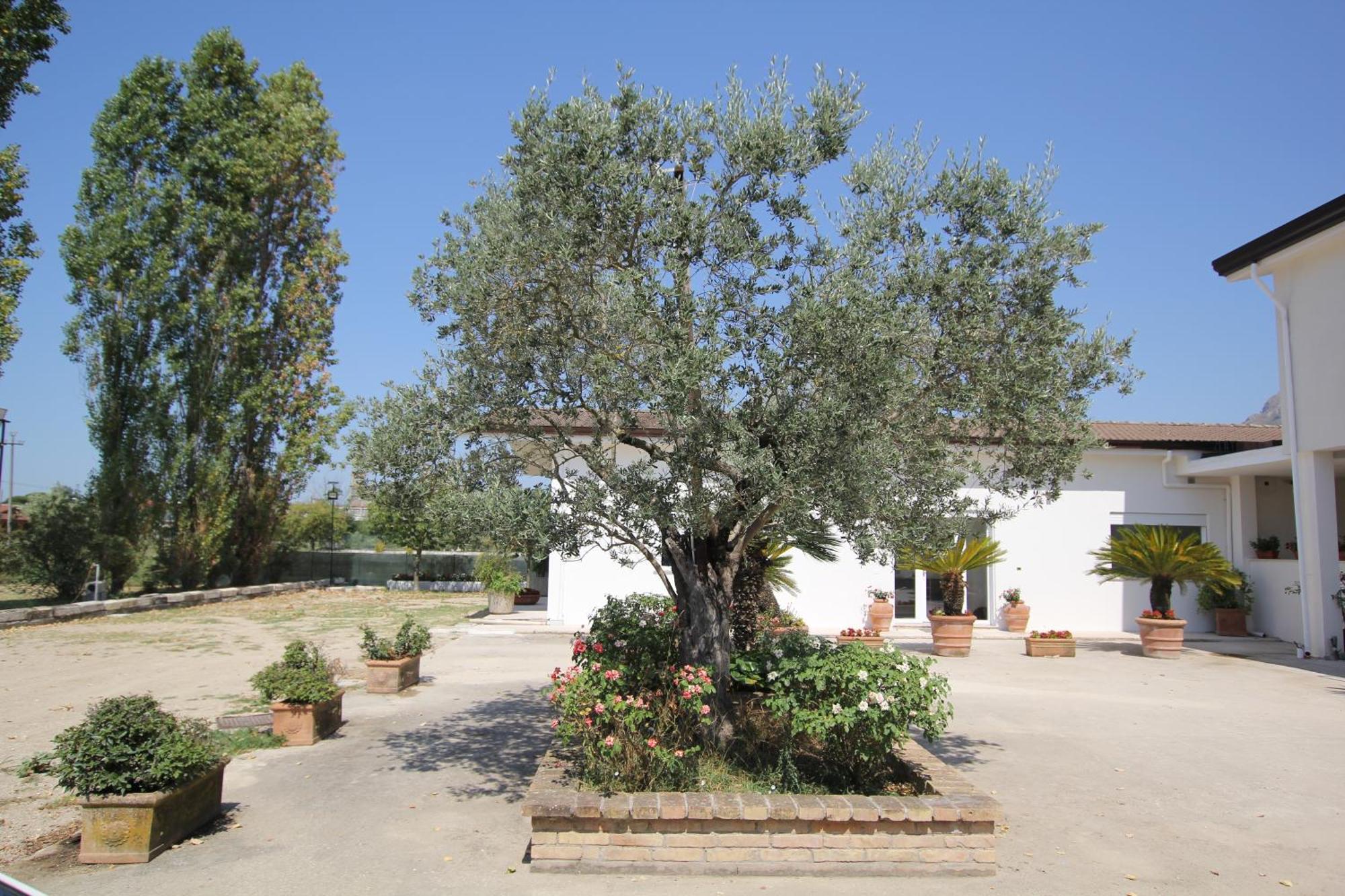 Villa Capodacqua Castrocielo Exteriér fotografie
