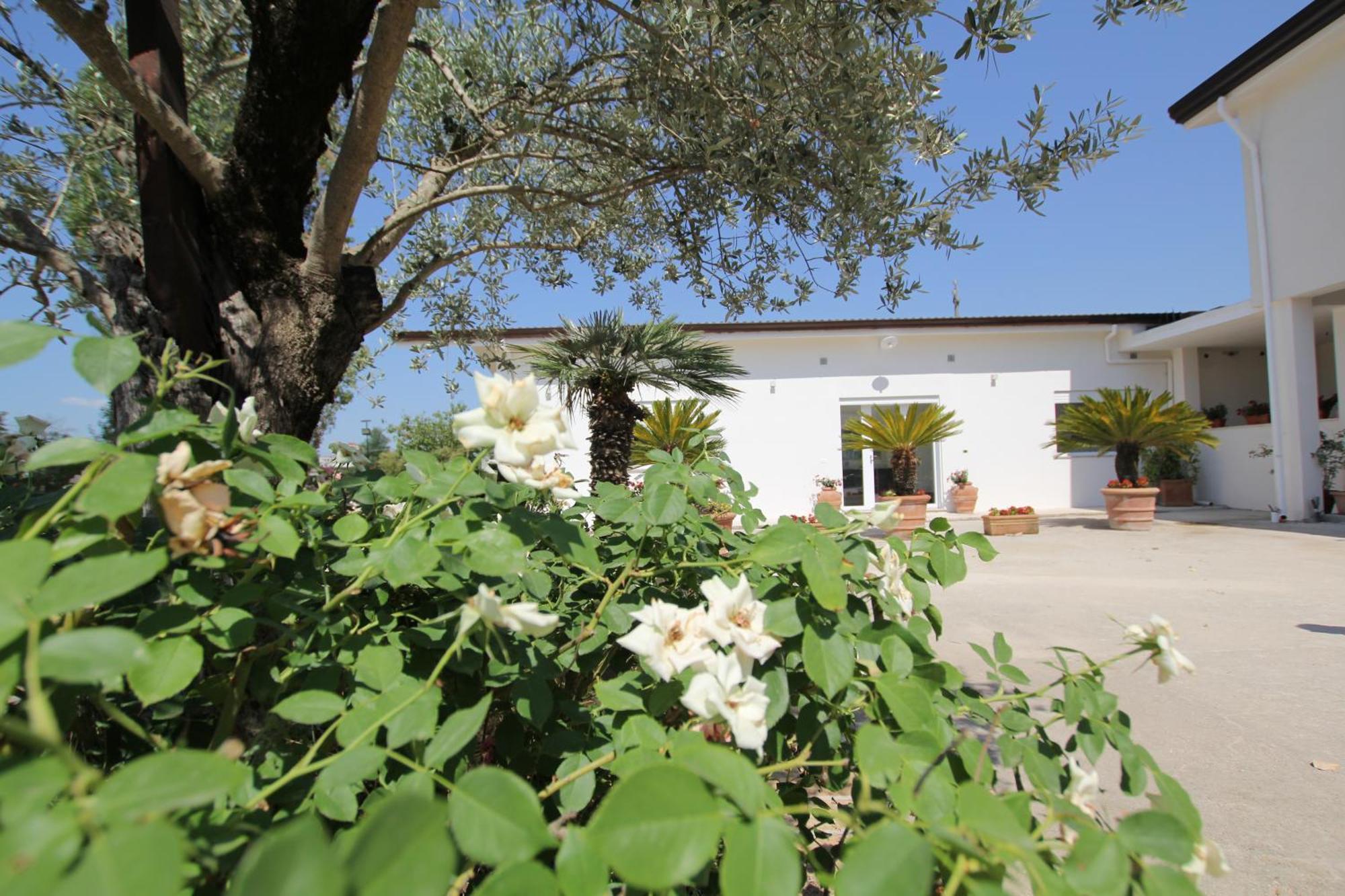 Villa Capodacqua Castrocielo Exteriér fotografie